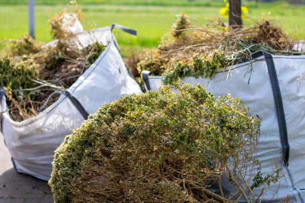 Best Local Junk Hauling  in Uhland, TX
